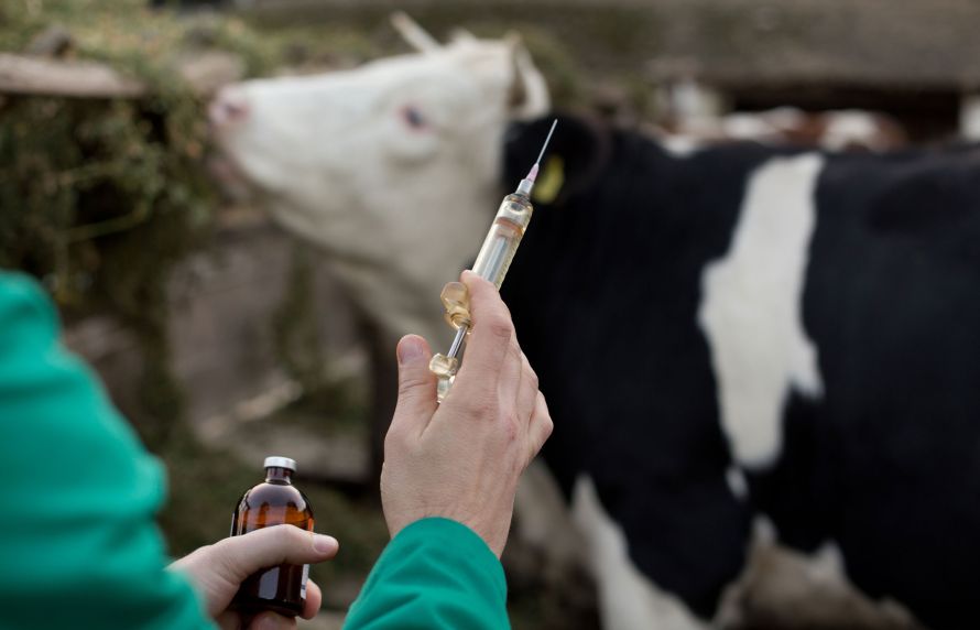 Médicaments vétérinaires